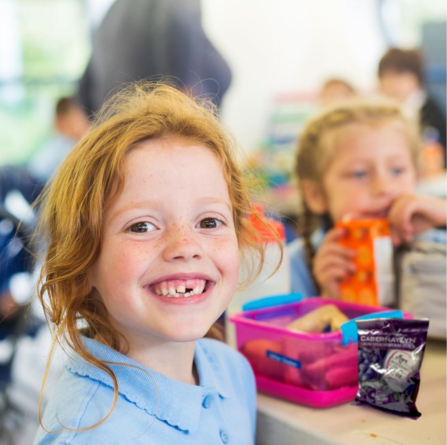 Wine RayZyn™ Launches 